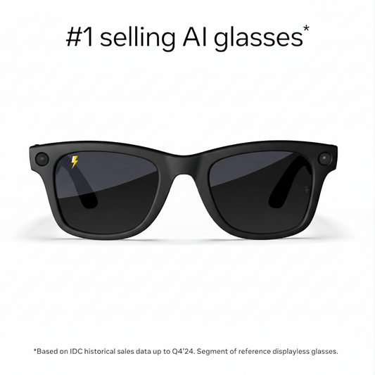 Meta Wayfarer (Gen 1) Large